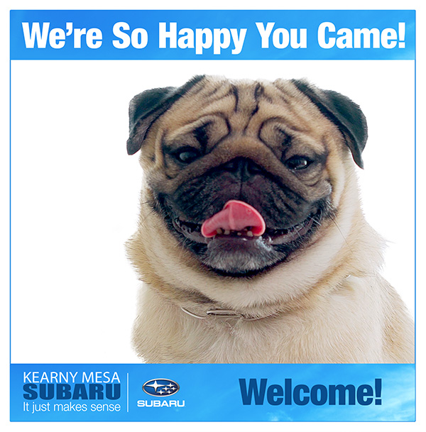 Kearny Mesa Subaru — We're So Happy You Came! door cling